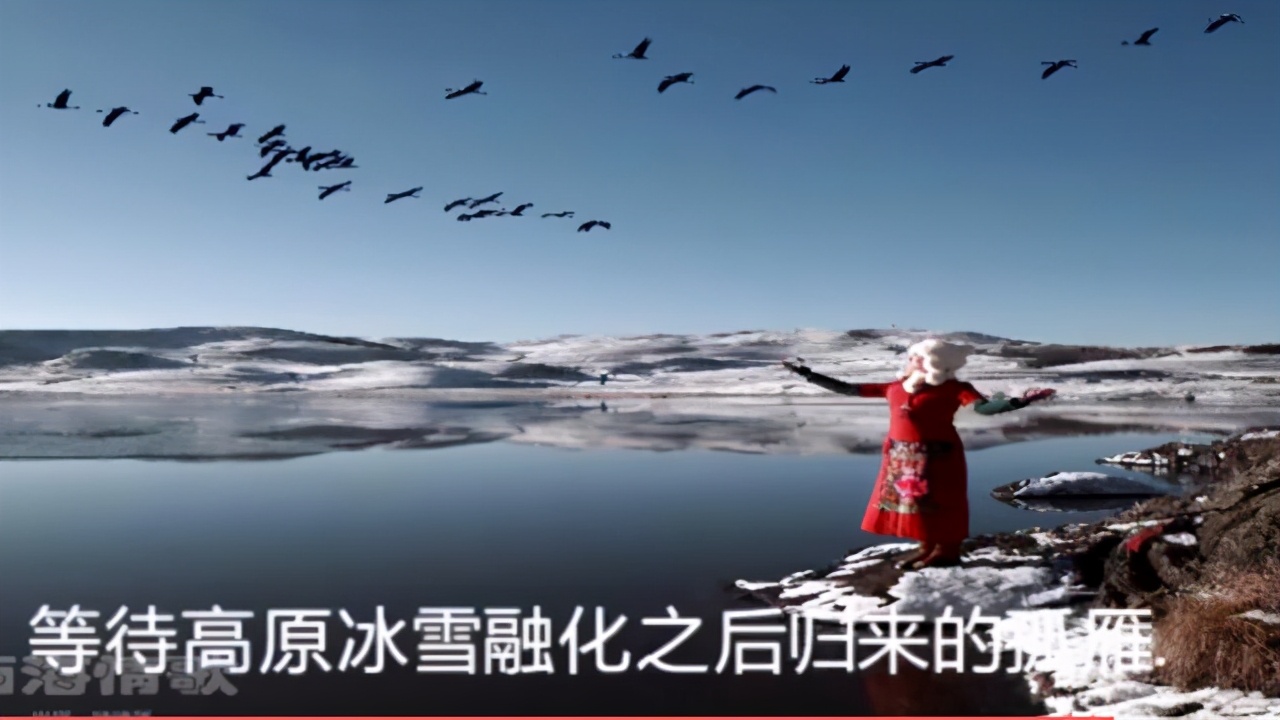 梦断戈壁西海情,西海情歌情感