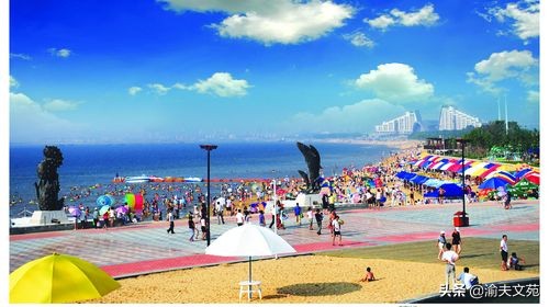 走遍营口鲅鱼圈,鲅鱼圈之旅