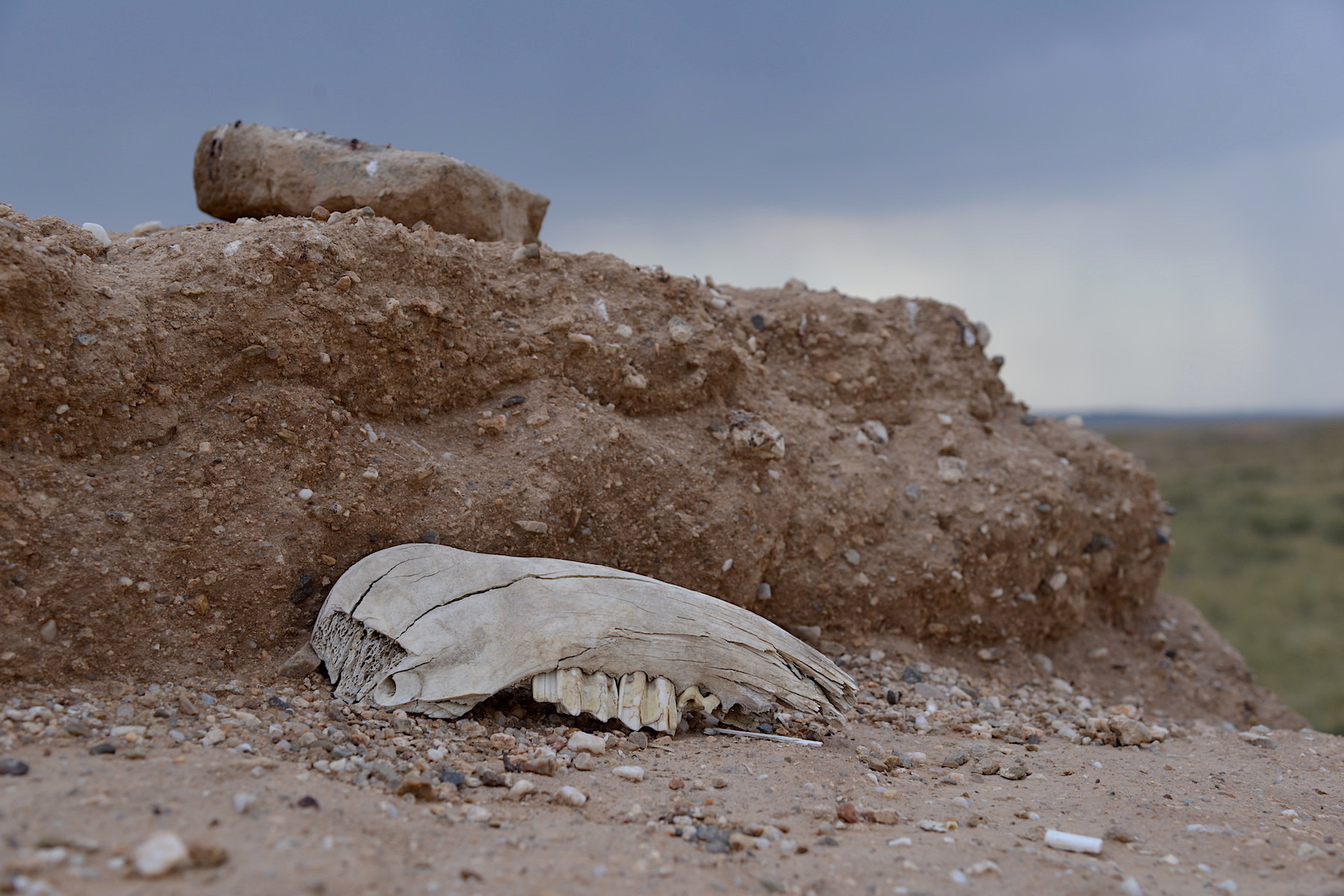 敖伦苏木城简介,敖伦苏木遗址复原图