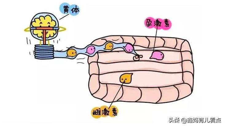 孕妈妈肚子胀气怎么办,孕妈妈出现了胀气问题该怎么处理