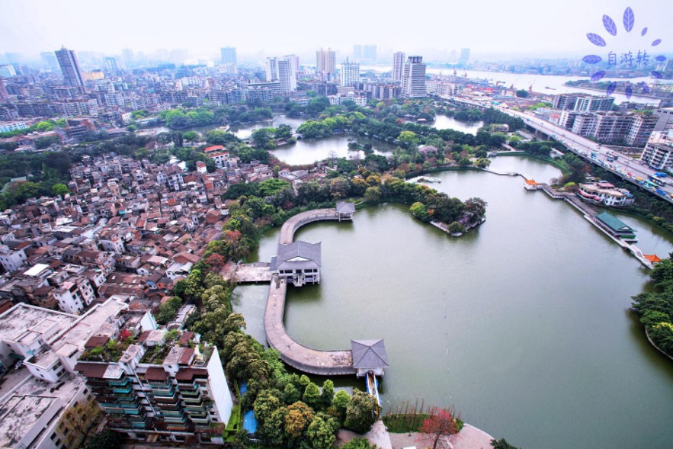 一池荷叶碧两岸荔枝红的意思,一湾湖水绿两岸荔枝红