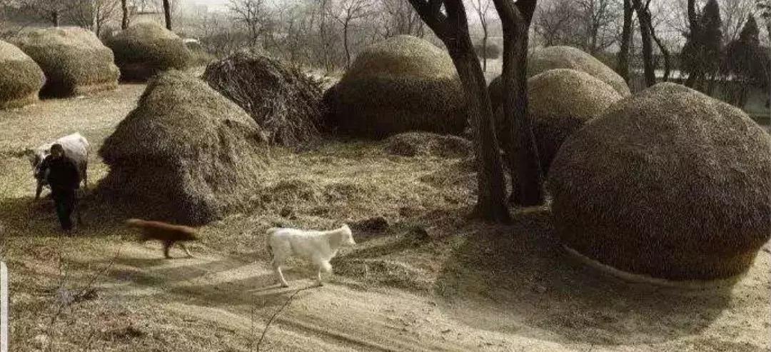 长篇纪实小说｜《河边》连载—第一章少儿时代之四·几种游戏2