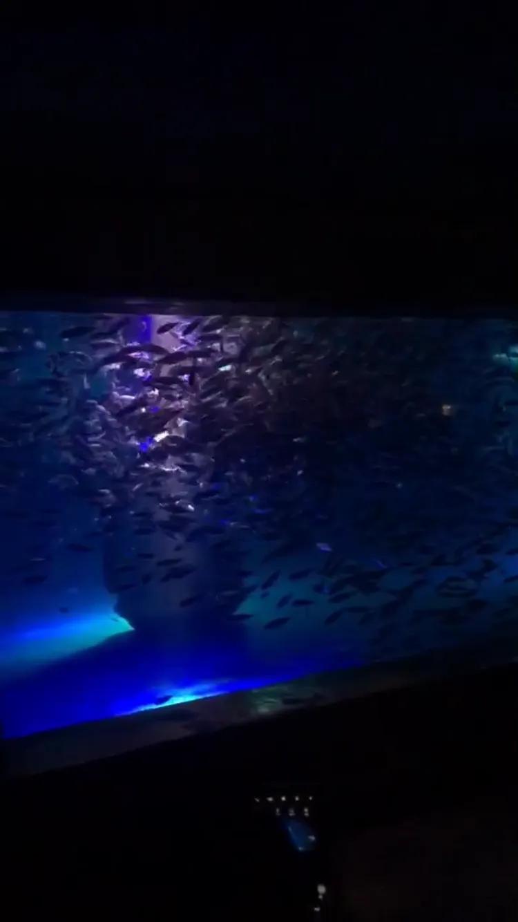 南京海底世界游览图,南京海底世界门票