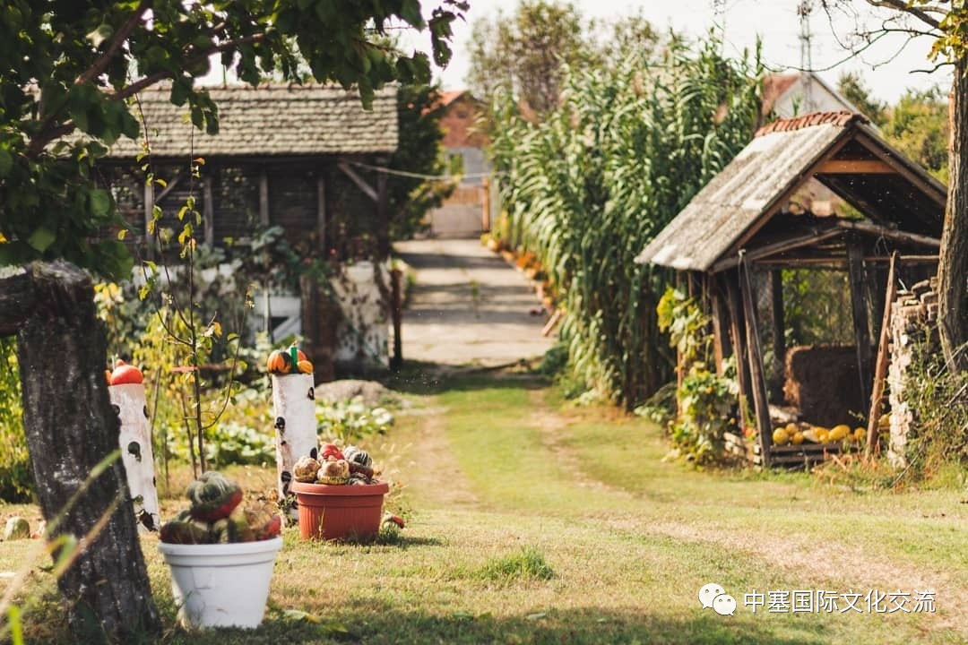 塞尔维亚孤单星球,塞尔维亚十大孤独星球