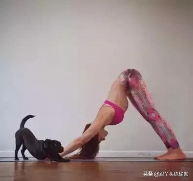 下犬式的好处,每天下犬式有什么好处