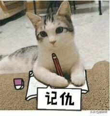 猫咪被家暴怎么走出心理阴影,对猫实施过暴力怎么办