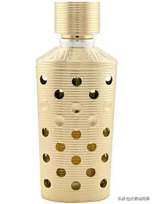 种一株玫瑰,种一株玫瑰间隔多远