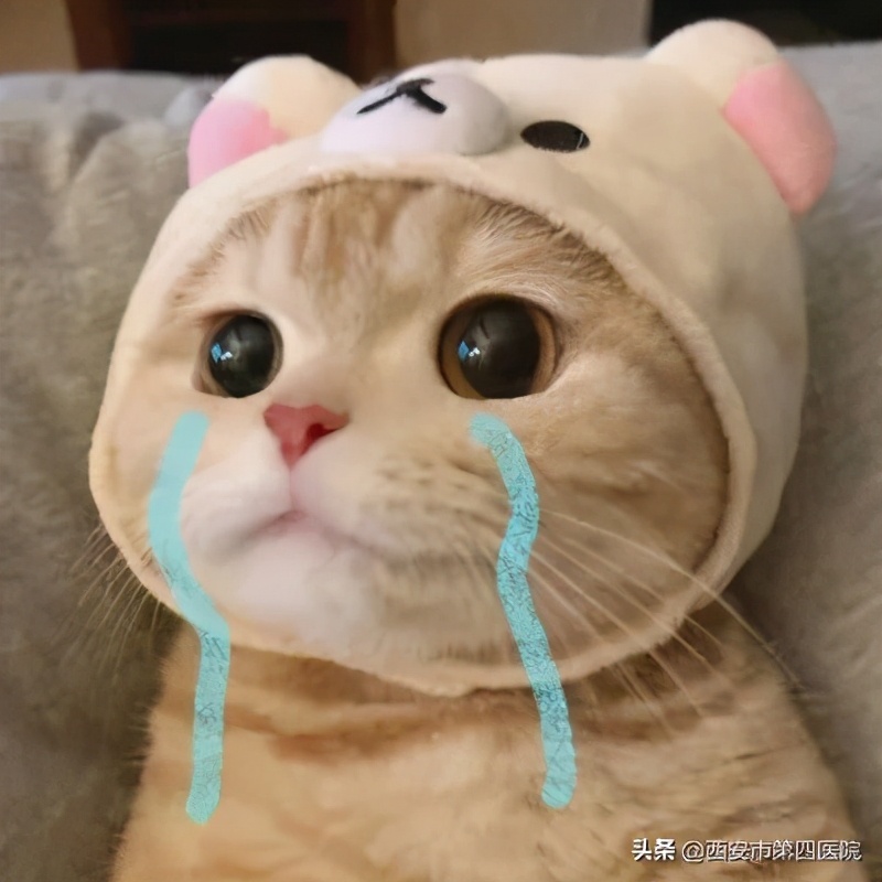 健康中国有哪些举措,健康中国行动攻略