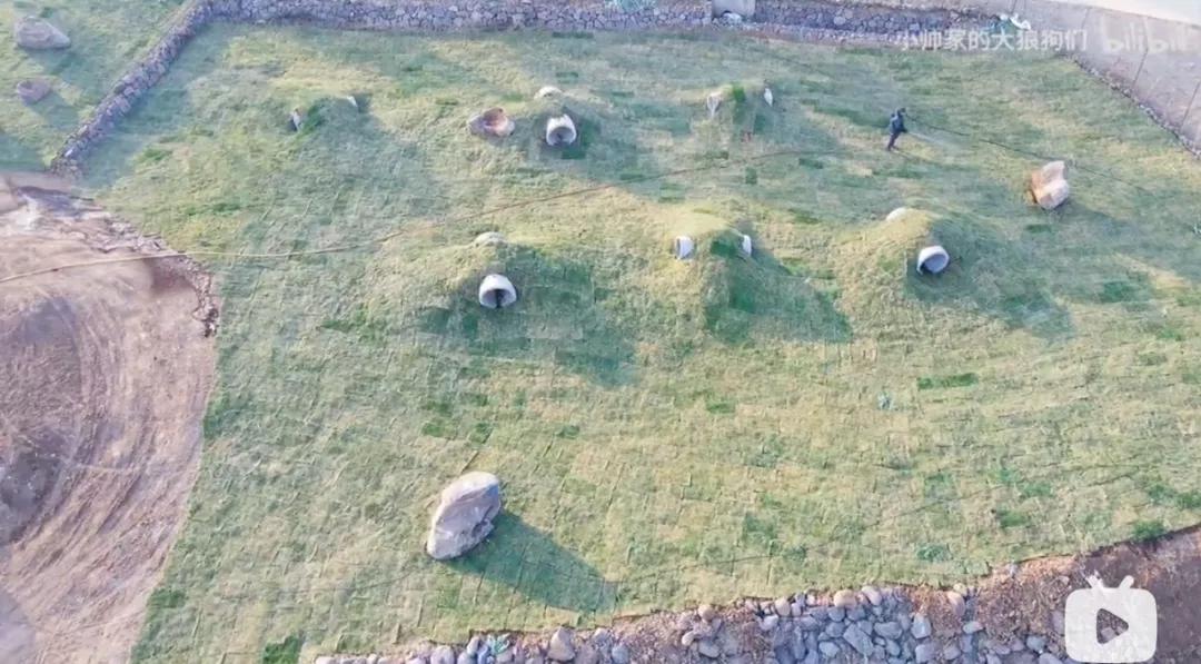 花三年建宠物乐园,花20万给狗打造乐园