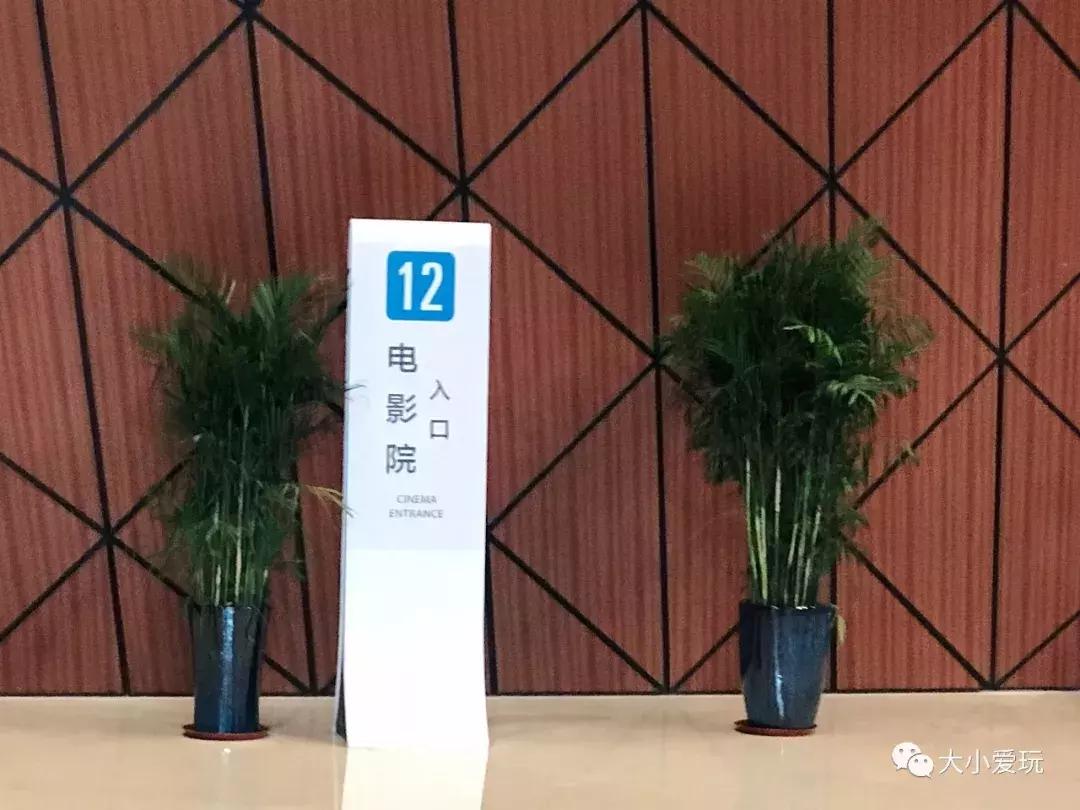 开放首日实探国家海洋博物馆，史上最抢手博物馆究竟长什么样