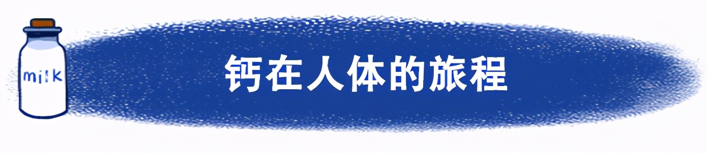 牛奶和钙片可以一起吃吗,牛奶和钙片可以一起吃