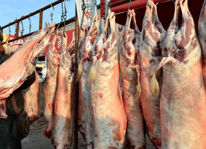 绵羊和山羊哪种口感好,山羊与绵羊肉质