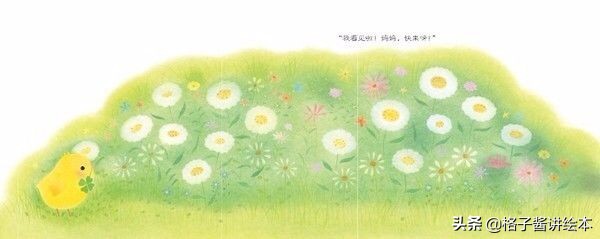 绘本推荐小鸡球,小鸡球球幼儿园绘本推荐卡