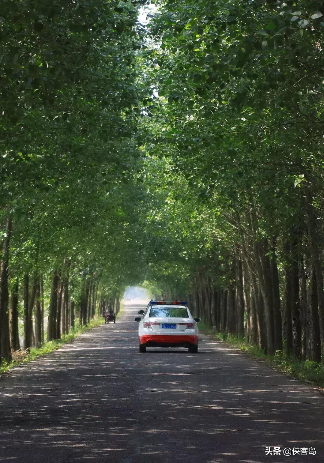 侠客岛:乡愁里的中国