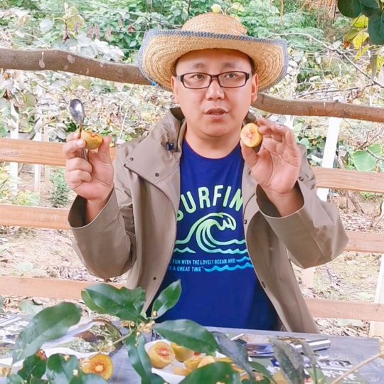 返乡创业乡村振兴的成功感言,年轻人放弃打工回农村种地