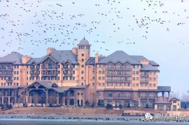 带娃周边3-4天自由行攻略,又到周末要带娃