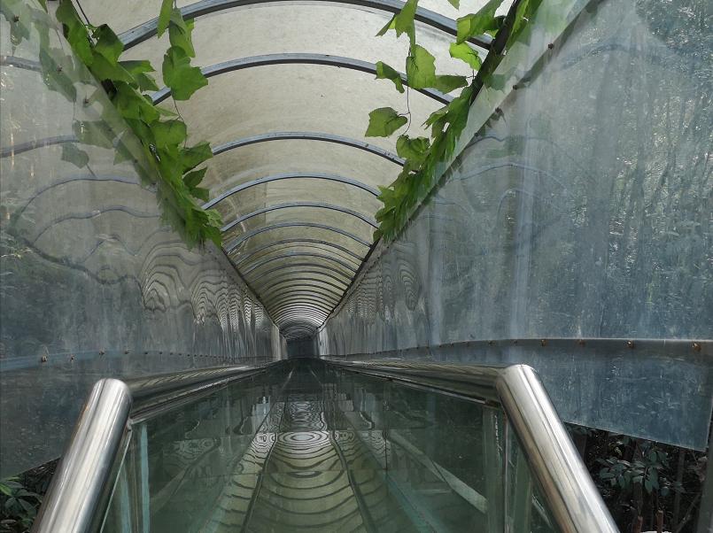 梅州丰顺金德宝温泉,丰顺金德宝温泉度假村