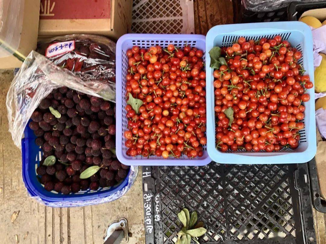 云南带毒的美食,云南带菌的美食