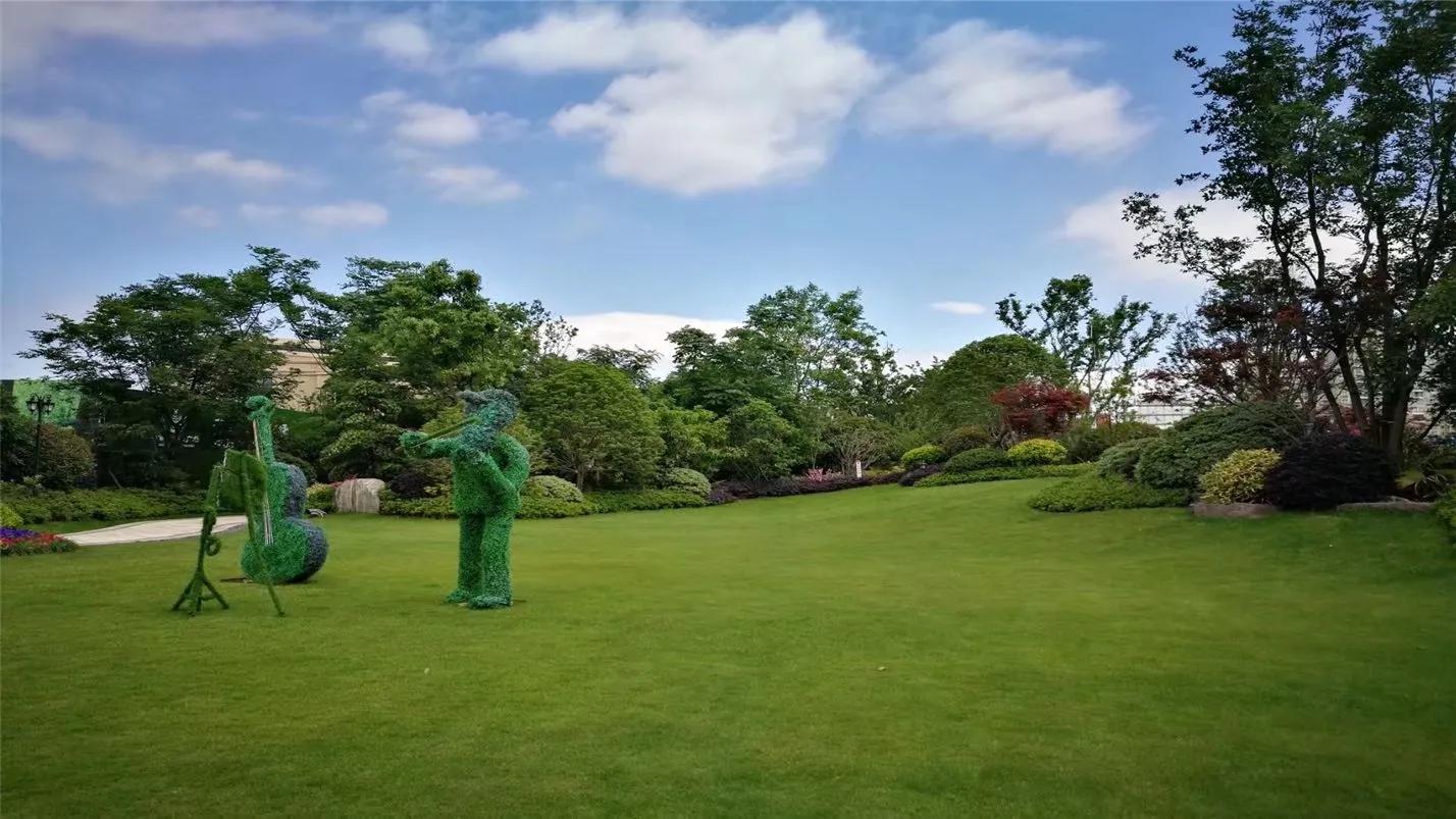 六月的红原，绿成为草原上最美的颜色