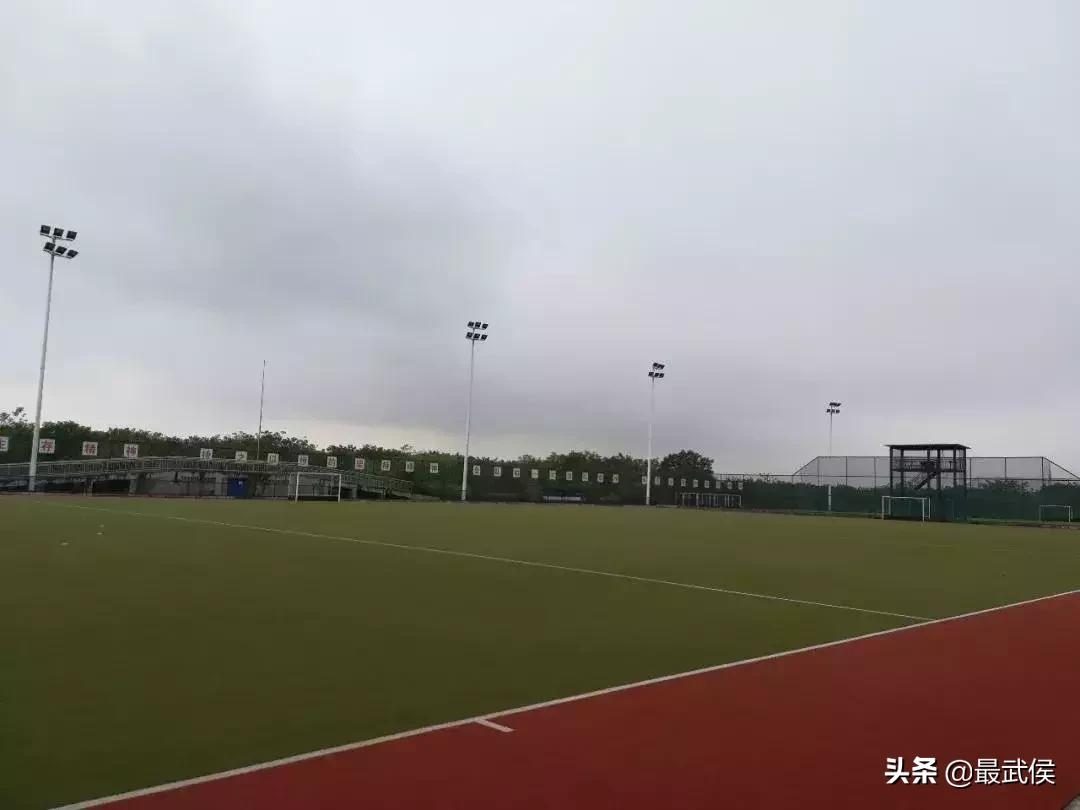 世警会武侯赛场视频,世警会武侯区