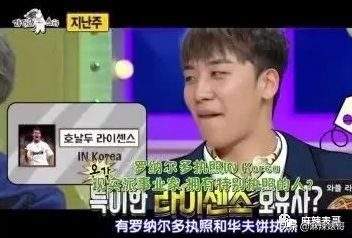 李胜利十字绣,李胜利十字绣片段