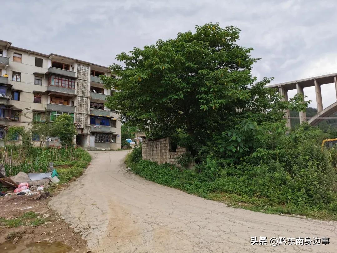 凯里242厂图片 (凯里242厂老照片)