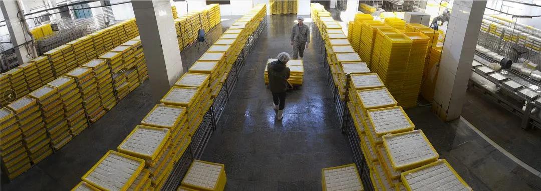 果果食品COO蒋丽君：疫情催生下，一颗豆子创造的3亿市场