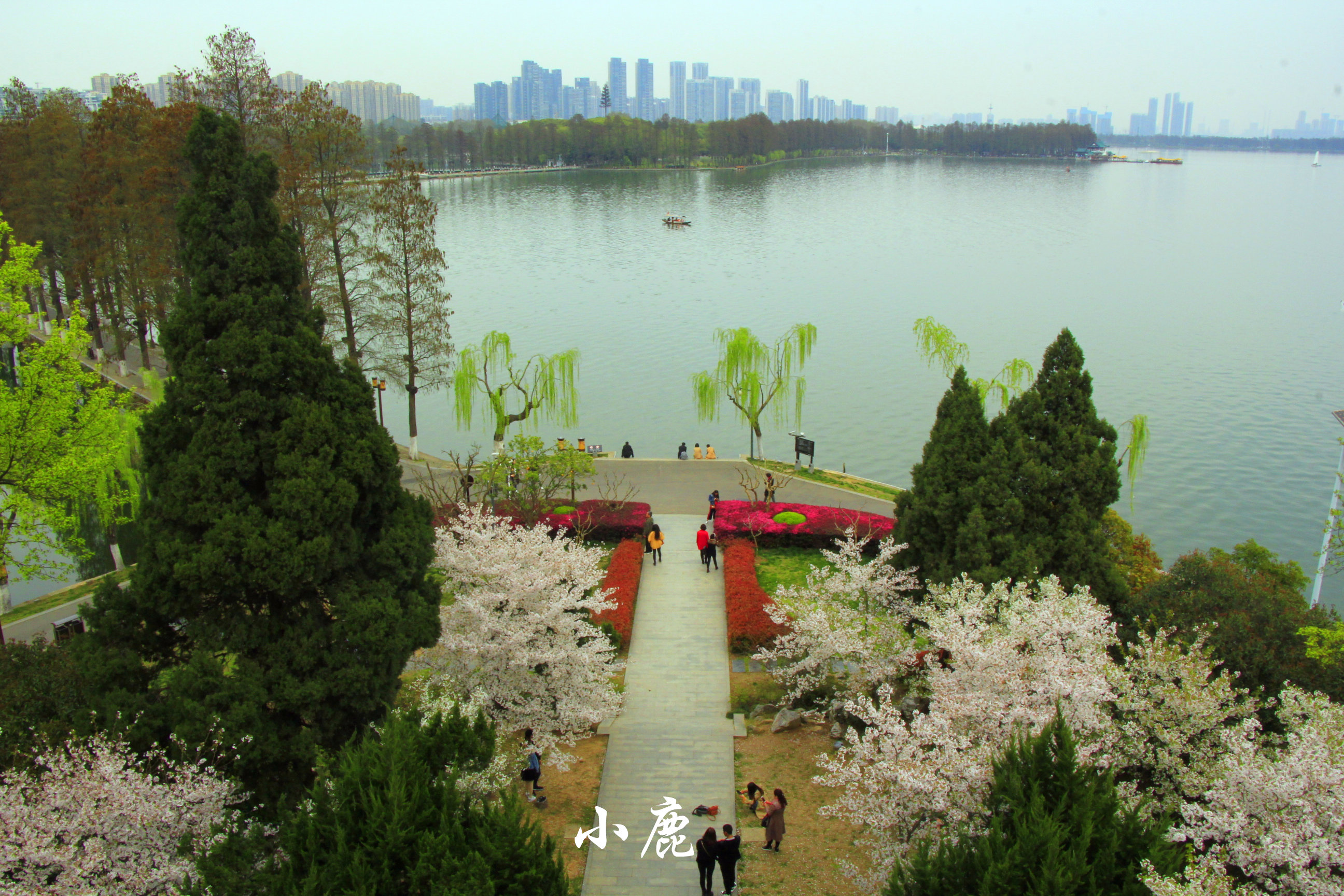 武汉周边赏花踏青好去处,武汉赏樱花旅游攻略