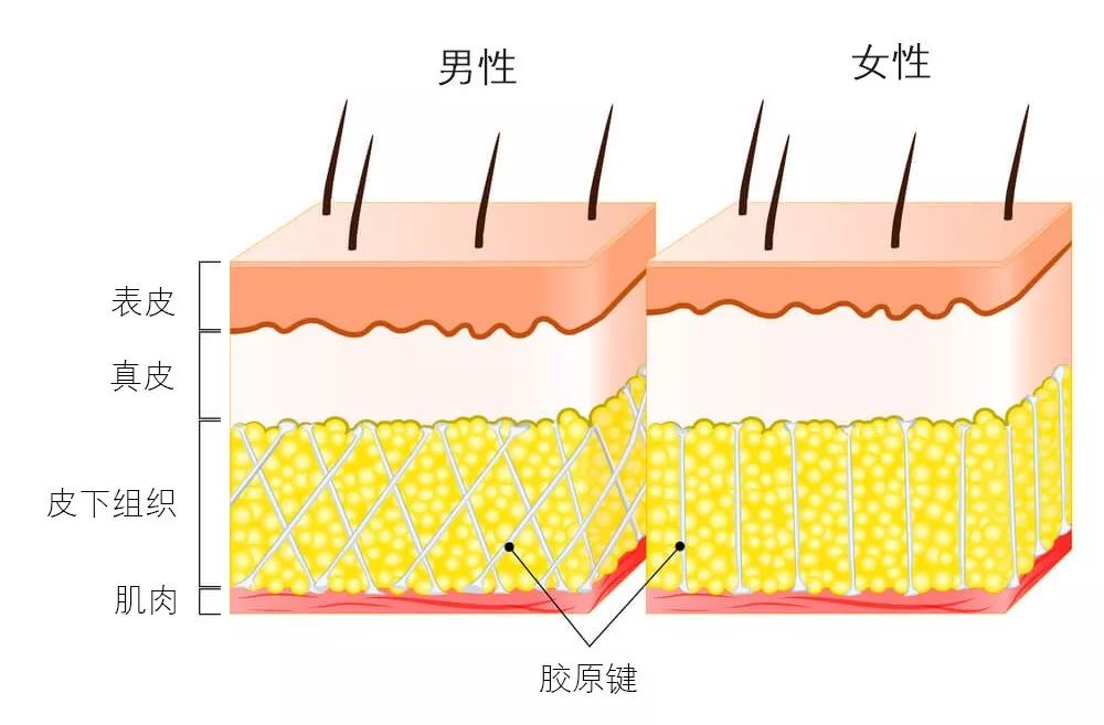 男生有必要用护肤品么,男生用女性护肤品合适吗