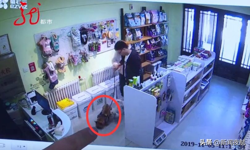 这俩人带宠物狗到处打疫苗，打完疫苗狗就死亡！咋回事？哈尔滨多家宠物店都见过他们