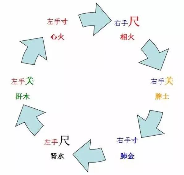带你领略中医诊病奥秘,带你了解中医怎么把脉