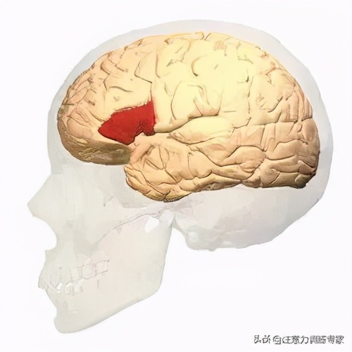 孩子读题读不懂怎么样才能提高,如何提高4岁孩子的阅读理解能力