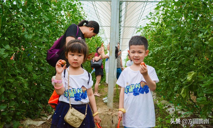这个夏日，看这个美女如何在浙江乌村的第一百种玩法