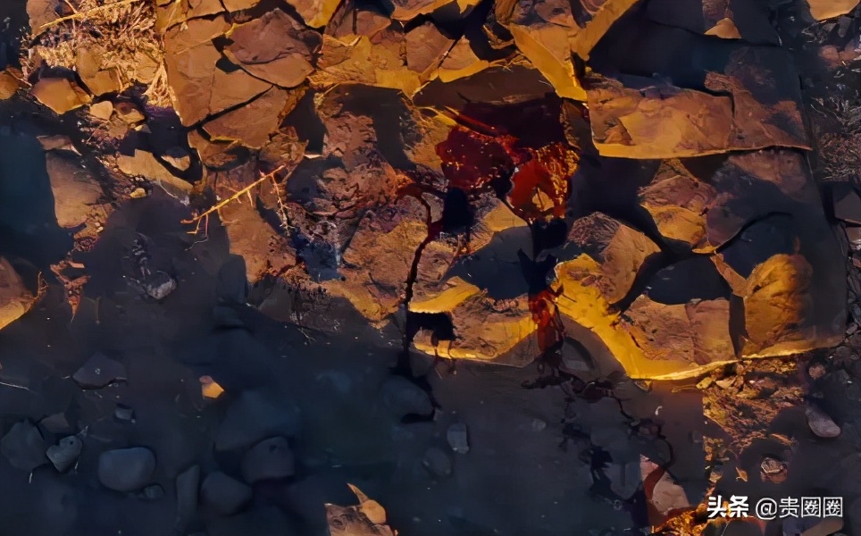 非洲黑人超模，曾被性侵、割礼、逼婚，却活出璀璨人生