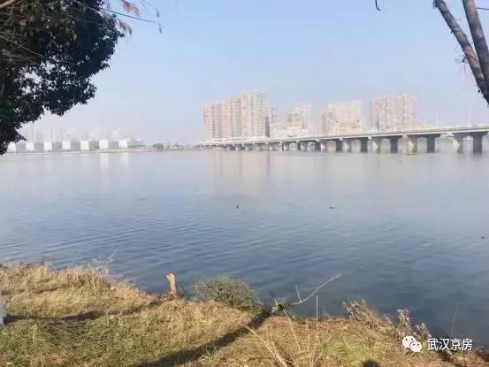 逆市大涨的股票有哪些,逆市上涨板块