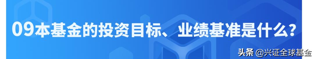 兴证全球优选稳健六个月持有债券,兴证全球恒惠30天持有期超短债c