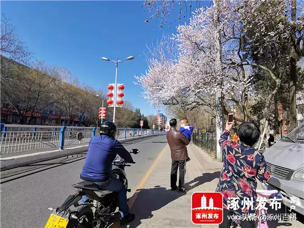 涿州华阳路东兴街最新消息,涿州最新复工通知