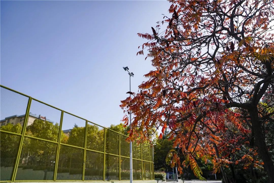 思源学院美景照片,西安思源学院秋景色