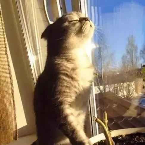 燃烧我的卡路里舞蹈完整版,燃烧你的卡路里完整