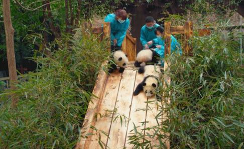 全国最搞笑的省,中国最搞笑的十大省份