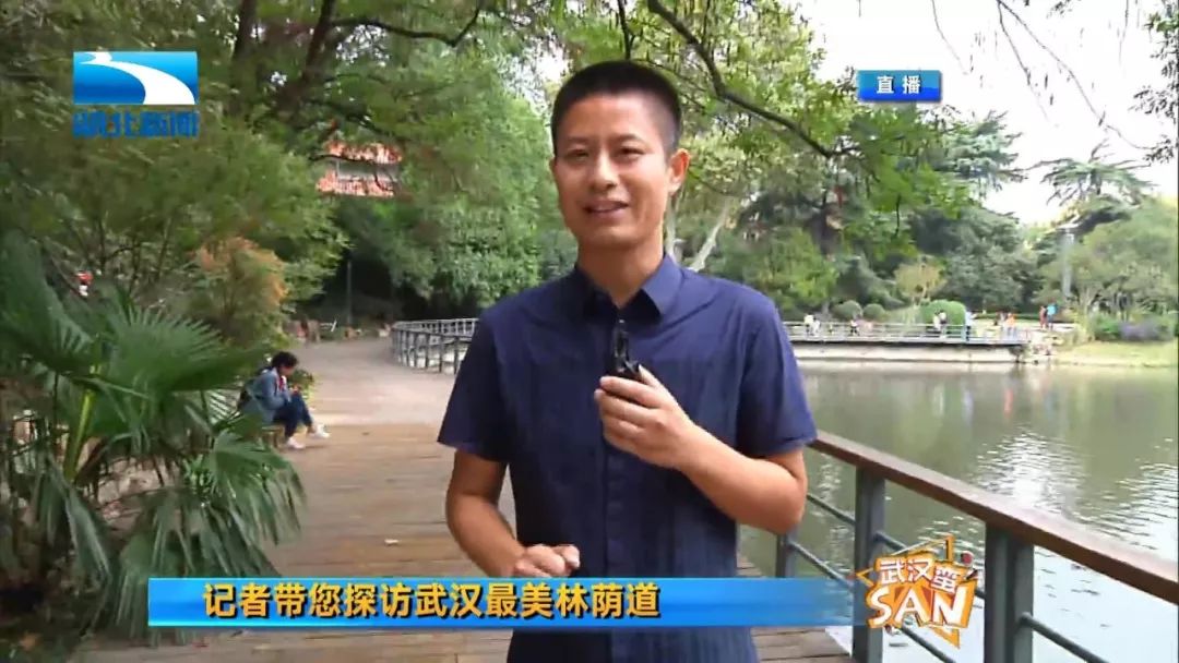 最SAN江岸区|迎军运，武汉的“绿富美”准备好了