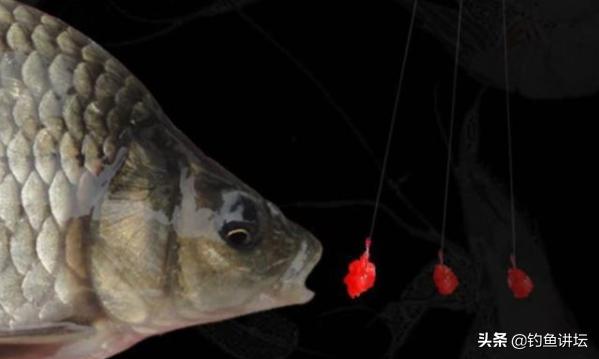 传统钓过程中怎样避免小鱼闹钩,防小鱼闹钩最有效方法