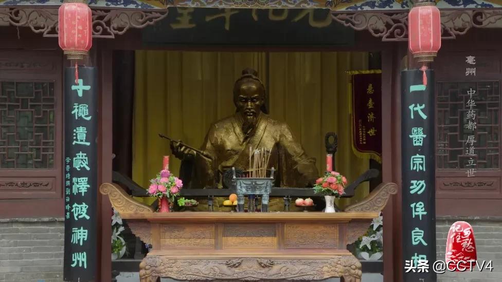 华佗故乡亳州药都之乡简介,亳州为什么被称为华佗故里