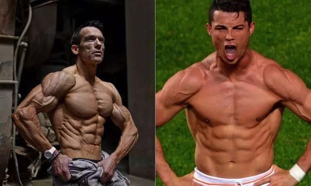 人类体脂率多少能看到肌肉,人类体重极限在哪