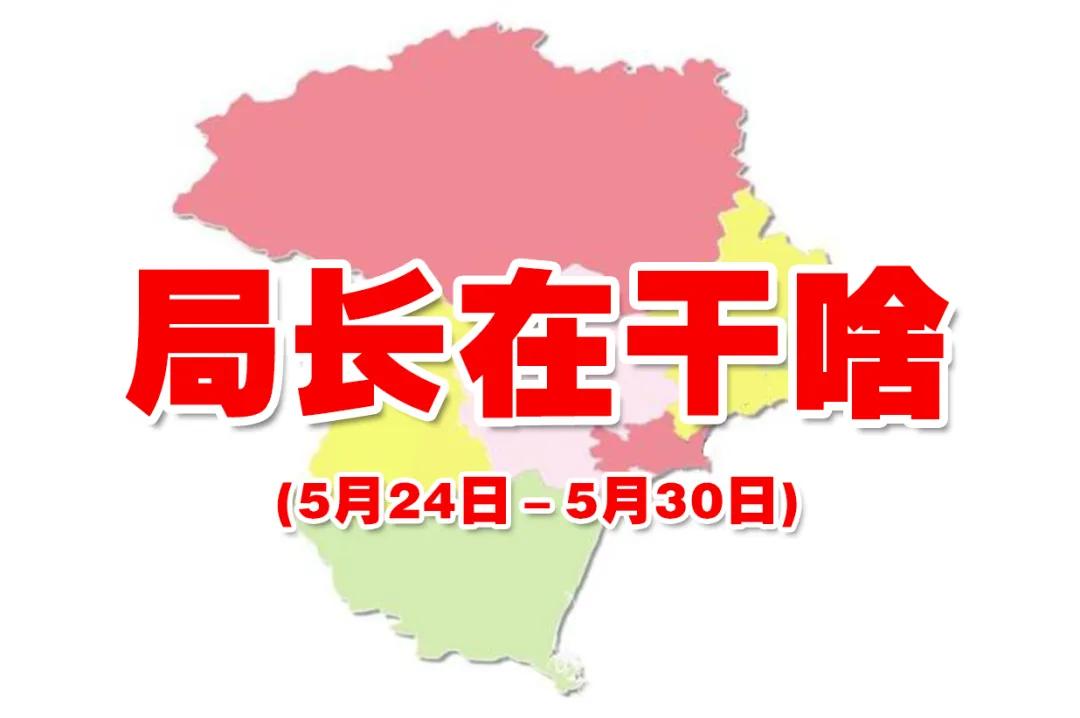 讲政治勇担当善落实,讲政治强作风抓落实争一流
