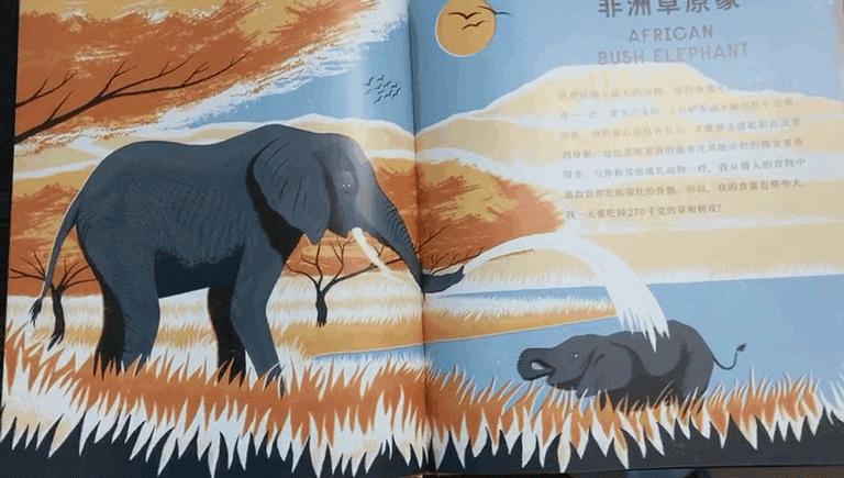 看科普绘本，学“骨科”知识，小朋友的《骨头之书》