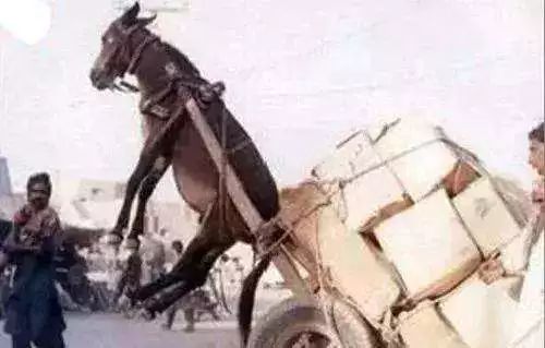 边缘计算通俗易懂解释,一分钟带你了解什么是边缘计算