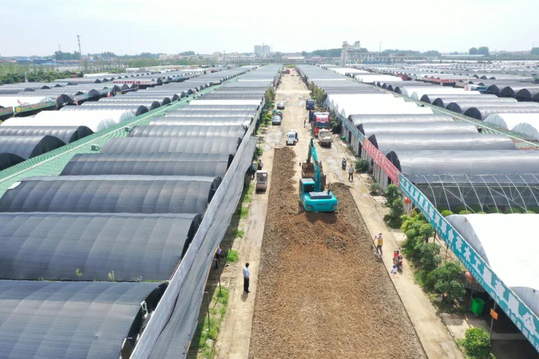 中国沭阳国际花木城在哪个城市,沭阳花木城的发展