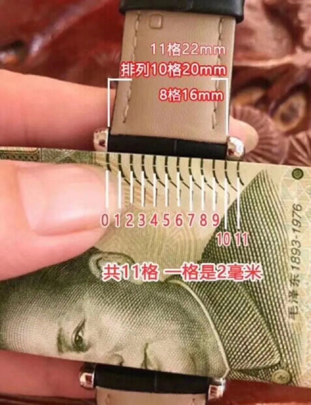 钱可以当尺子，乳头可以录指纹，奇奇怪怪的知识太多了！