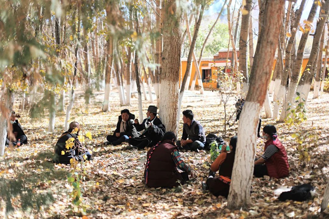 拉萨生活真实感受,日光之城拉萨旅游